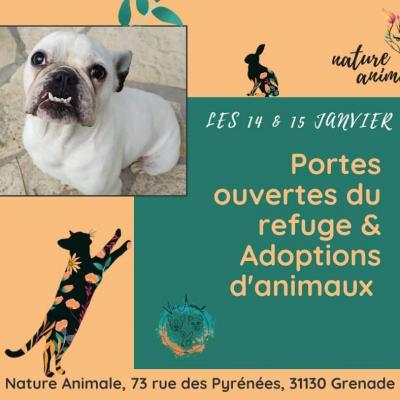 Fb img 1671918413298