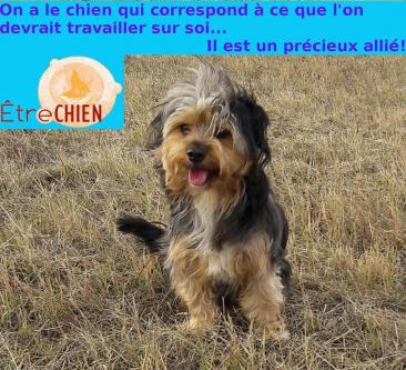 Chien Gong