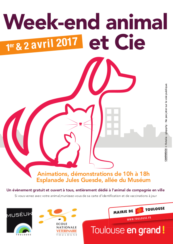 A5 programme animal cie