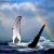 Baleine arc en ciel 1