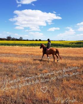 Barths citation