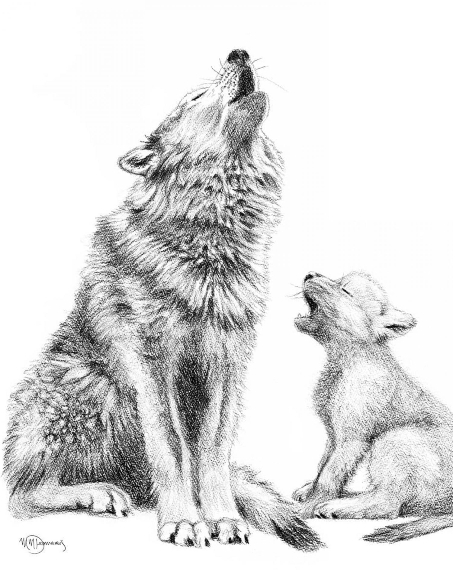 Duo loup bebe wouf
