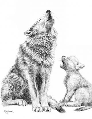 Duo loup bebe wouf