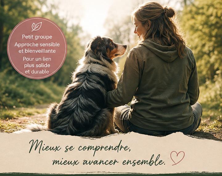 Etiquette chien