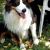 Fb img 1659906642232