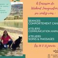 Fb img 1671918395865