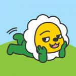 Fleur choupi