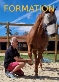 Formation cible chevaux site