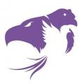 Logo sommet quetzal