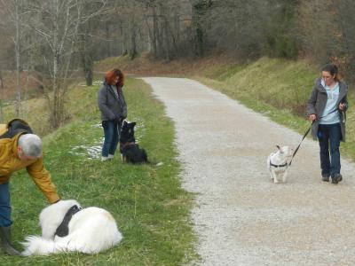 Photo site collectif 1