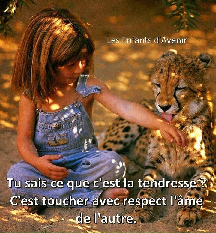 Respect tendre