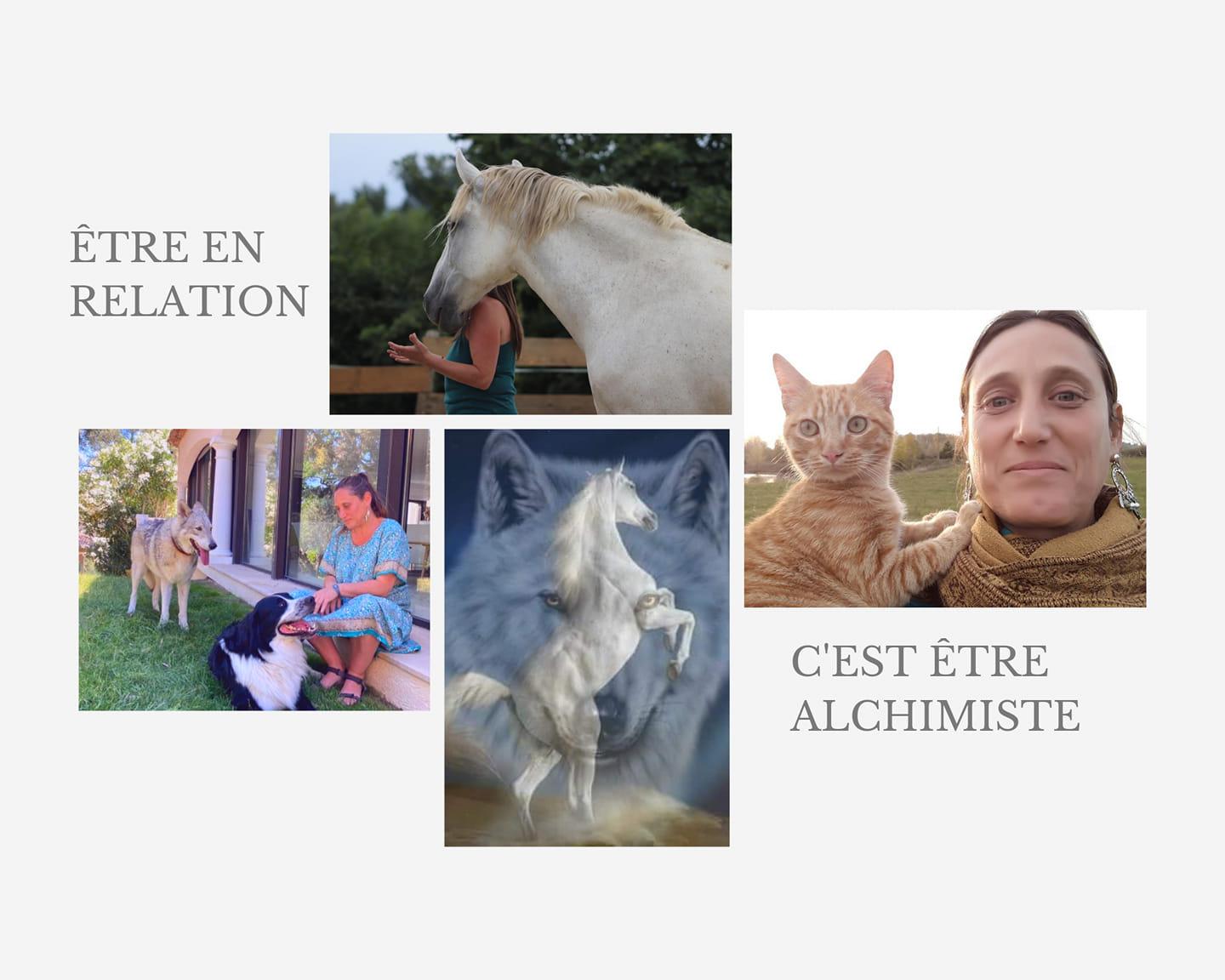 Stage com et soin