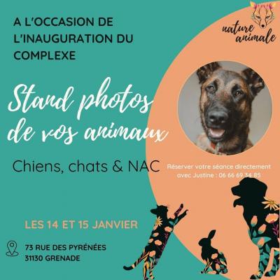 Vie animale photo