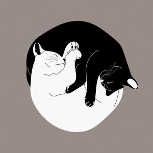 Yin yang
